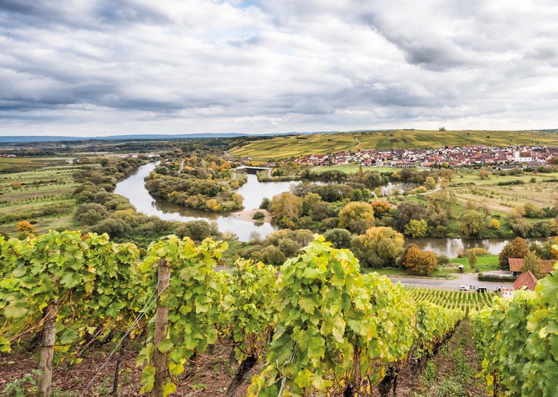 Blick auf Weinberge und einen Fluss.